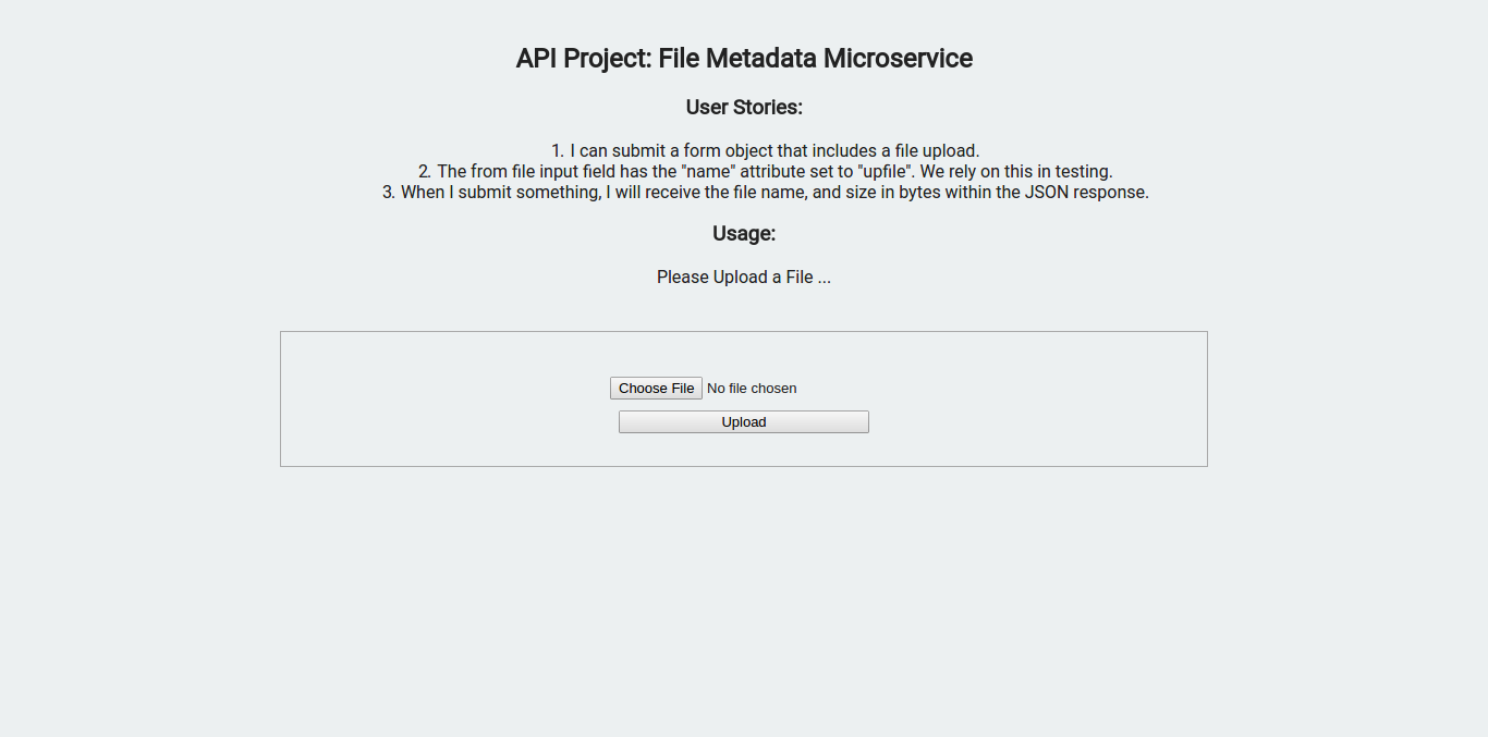 File Metadata Microservice